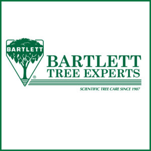 LTARSQUARE8Bartlett Trees_500x500_2526